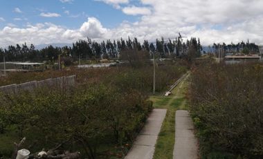place photo 58