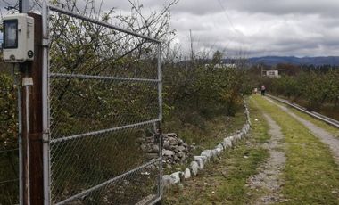 place photo 44