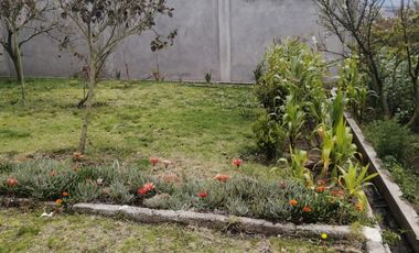 place photo 50