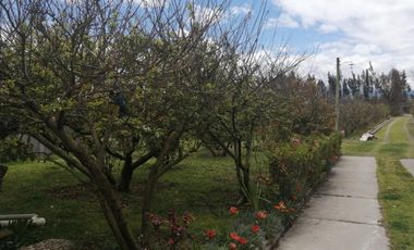 place photo 53