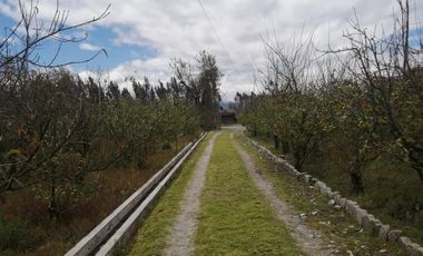 place photo 68