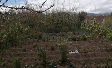 place photo 57