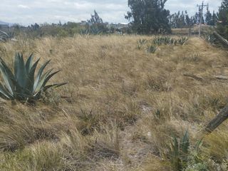 TERRENO EN TOTORAS