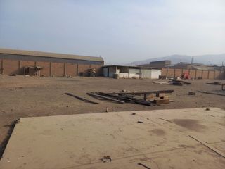 Foto 11 de ALQUILO LOCAL INDUSTRIAL DE 2500  M2 - PARQUE INDUSTRIAL PORCINO VENTANILLA - CALLAO