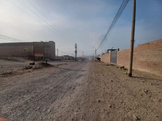 Foto 10 de ALQUILO LOCAL INDUSTRIAL DE 2500  M2 - PARQUE INDUSTRIAL PORCINO VENTANILLA - CALLAO