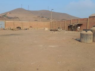 Foto 18 de ALQUILO LOCAL INDUSTRIAL DE 2500  M2 - PARQUE INDUSTRIAL PORCINO VENTANILLA - CALLAO