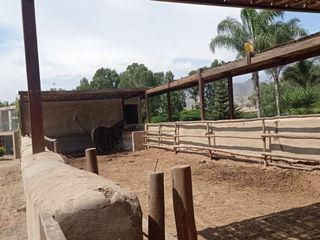 Vendo terreno en condominio cerrado en Fundo Pradera Asia, Cañete, Lima