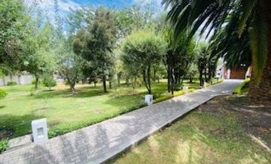 place photo 91