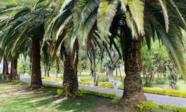 place photo 85