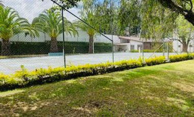 place photo 83