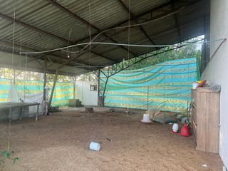 Foto 2 de rento, galpon pequeno  para criar pollos en las Villegas