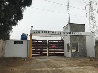 SE VENDE EXCELENTE TERRNO PLANO EN ASOCIACION AGRICOLA LOS HUERTOS DE CINEGUILLA.