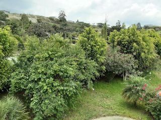 Quinta de Venta, Guayllabamba Chaquibamba