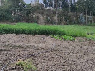 Foto 1 de Terreno en venta sector Ricaurte