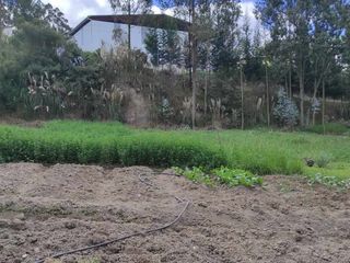 Foto 2 de Terreno en venta sector Ricaurte