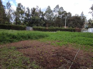 Foto 6 de Terreno en venta sector Ricaurte