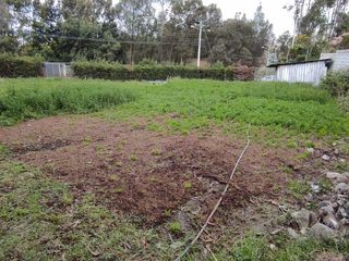 Foto 5 de Terreno en venta sector Ricaurte