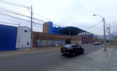 place photo 12