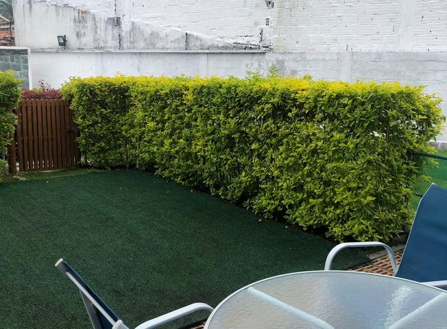 place photo 35