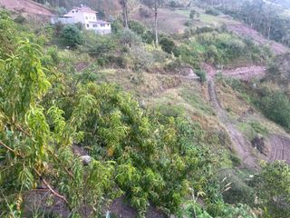 Se Vende esta bonita propiedad con casa y arboles frutales