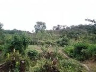 Foto 16 de Vendo Terreno Las cumbres Lamas Tarapoto