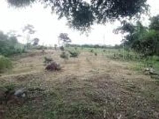 Foto 11 de Vendo Terreno Las cumbres Lamas Tarapoto