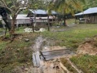 Foto 6 de Vendo Terreno Las cumbres Lamas Tarapoto