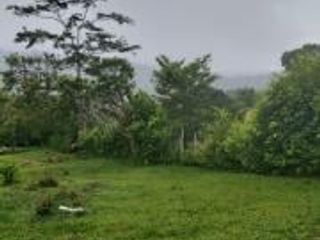 Foto 3 de Vendo Terreno Las cumbres Lamas Tarapoto