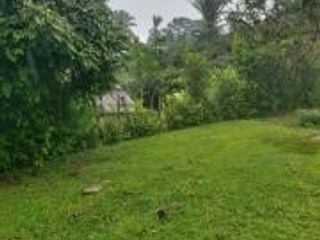 Foto 1 de Vendo Terreno Las cumbres Lamas Tarapoto