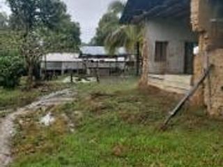 Foto 7 de Vendo Terreno Las cumbres Lamas Tarapoto