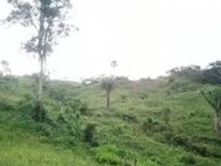 Foto 13 de Vendo Terreno Las cumbres Lamas Tarapoto