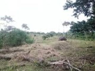 Foto 12 de Vendo Terreno Las cumbres Lamas Tarapoto