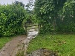 Foto 4 de Vendo Terreno Las cumbres Lamas Tarapoto