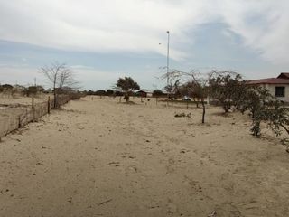 Foto 2 de VENDO TERRENOS PARA CASAS DE CAMPO, CATACAOS - PIURA