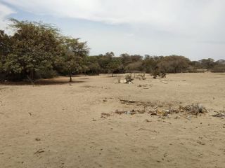 Foto 3 de VENDO TERRENOS PARA CASAS DE CAMPO, CATACAOS - PIURA