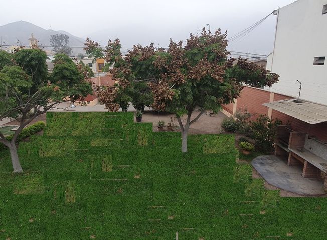 place photo 27
