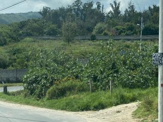Venta de Terreno Sector Colegio Pachamama, Tumbaco