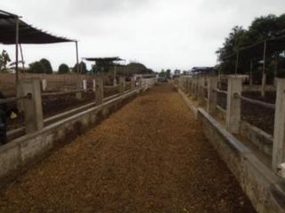Foto 6 de OCASIÓN LURÍN TERRENO CERCADO DE 6,000m2, IDEAL PARA ESTABLO O CRIANZA DE ANIMALES