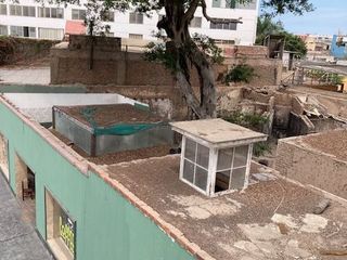 Foto 17 de Vendo espectacular e histórica casona en Barranco Monumental - Palacete Sousa - con 2,040 m2 de área libre para construir un proyecto importante