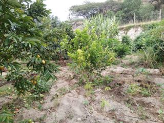 TERRENO EN VENTA GUAYLLABAMBA CON ÁRBOLES FRUTALES