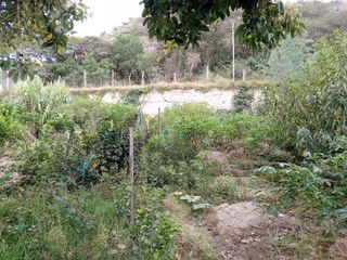 TERRENO EN VENTA GUAYLLABAMBA CON ÁRBOLES FRUTALES