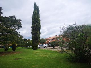 Foto 55 de Venta Hermosa y amplia casa, con parque y rio!