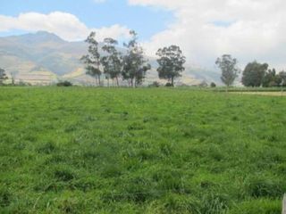 Foto 5 de Vendo Hacienda Ganadera 45 Ha $3'600.000