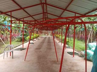 Foto 2 de Venta Hacienda Bananera Los Ríos