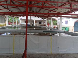 Foto 4 de Venta Hacienda Bananera Los Ríos