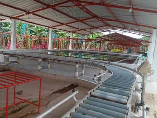 Foto 1 de Venta Hacienda Bananera Los Ríos