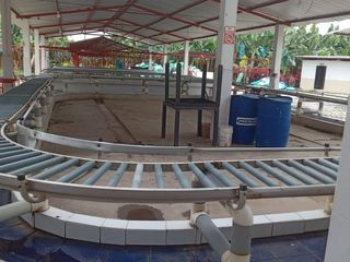 Foto 5 de Venta Hacienda Bananera Los Ríos