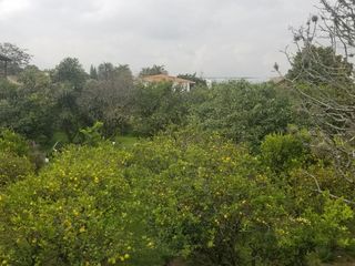 Foto 13 de VENDO, CASA, PUEMBO, ARRAYANES, $194.500, ESTRENAR