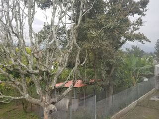 Foto 12 de VENDO, CASA, PUEMBO, ARRAYANES, $194.500, ESTRENAR