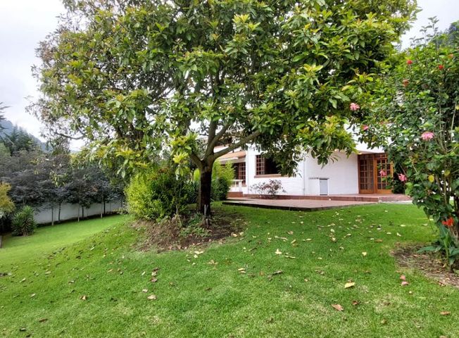 place photo 46